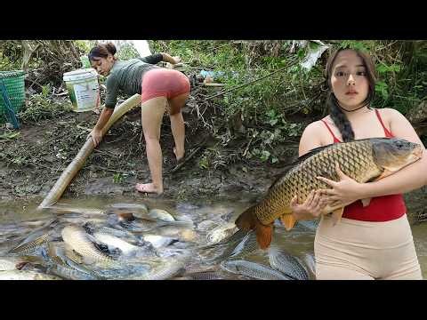 Interesting Fishing Technique, Pulling The Net To Harvest Many Big Fish In Large Lake | Catchy Fish