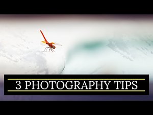 3 PHOTOGRAPHY TIPS - CANON 300MM F4 L IS USM