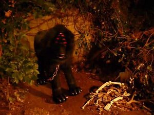 Hell Hound Quadsuit Costume - Must be 18 or older to order