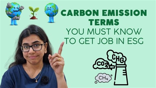 Carbon Terms Explained | Net Zero, Carbon Neutral, Carbon Positive More (Beginner Friendly Guide) | Mithila Rele