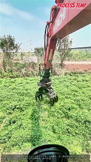 重機で池の水草をまとめて一掃するプロの技術 #worker #process #excavator #cleaning #pond