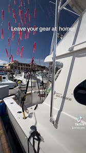 Let’s fish! # marlin #cabo | Protocol Sport Fishing