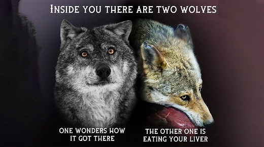 Where Does The 'Inside You There Are Two Wolves' Meme Come From?
