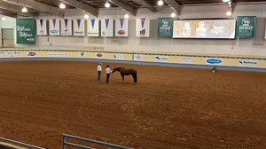Watch as AQHA Professional Horseman Ryan Cottingim takes us through showmanship patterns in this Nutrena Feed Ride the Pattern Clinic held during the 2021 Farnam Horse AQHA World and Adequan® Select World Championship Shows. Donate to the AQHA Professional Horsemen's Endowment Fund ➡️ https://bit.ly/RideThePatternDonations | American Quarter Horse Association