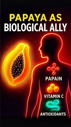 Papaya Benefits Explained: Digestion, Immunity & Antioxidants #Papaya #3danimation #Anatomy