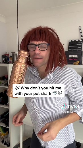 Hilarious Misheard Lyrics Compilation