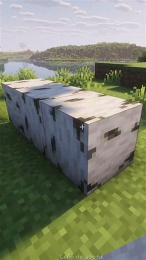 PUSE MAS DE 1000 ABEJAS CONTRA 1 WITHER XD #shortvideo