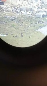 While Modi ji is busy changing profile picture, China is busy building inroads in our territory! #India | Y Sathish Reddy