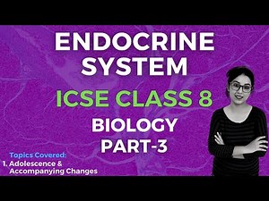 Endocrine System | ICSE CLASS 8 Biology | Part - 3