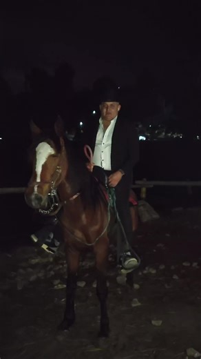 Videos de el_eternoangel2412 🪽 🦁 (@ander.arcon) con “sonido original - user08827852776”