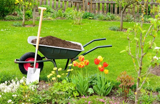 Que faire du compost au jardin ?