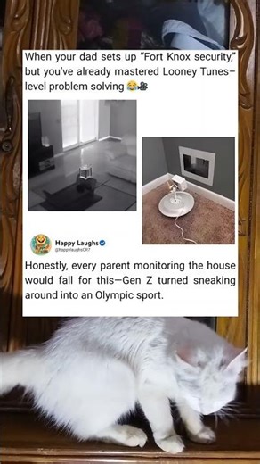 The Funniest Little Camera Trick