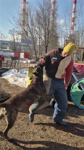 ЗАЩИТА ХОЗЯИНА ХЕРДЕР