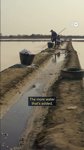 Traditional sea salt production in Thailand | DW Documentary