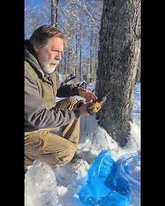 Maple Syrup Starter Kit