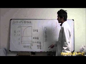 森林の階層構造-24