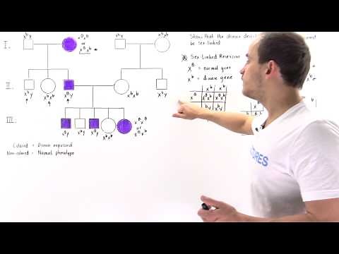 Pedigree Analysis for Autosomal Dominant Traits