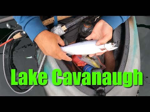 Lake Cavanaugh Kokanee & Trout Catch and Cook Kayak Fishing Washington