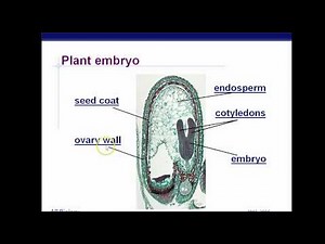 AP Biology Chapter 38 Plant Reproduction Part 2