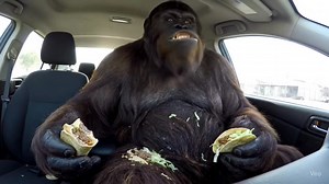 Someone whispered Stimulus check! #reels #viral #highlight | Keith Roe