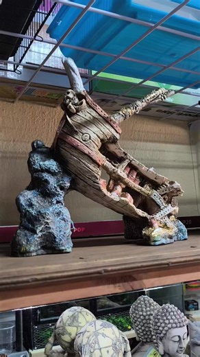 ¡Dale un toque épico a tu pecera con Pets Warrior! 🌊✨ Tenemos las mejores resinas de todas las temáticas: desde barcos piratas hasta mundos de fantasía. 🏴‍☠️🏰 ​✅ Material 100% seguro para tus peces. ​✅ Detalles increíbles y alta durabilidad. ​✅ Variedad de tamaños y estilos. ​¡Ven por la tuya y transforma tu acuario hoy mismo! 🐟🐠 ​#PetsWarriors #Acuarismo #DecoracionAcuarios #ResinasPremium #FishLovers