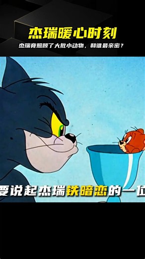 杰瑞治愈系合集：不僅照顧流浪動物，連湯姆都被他感動了 #猫和老鼠，汤姆，杰瑞，经典动画，童年回忆