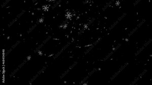 snowflake falling endless loop slow motion animation with transparent background. Format quick time alpha rgb, video codec animation.