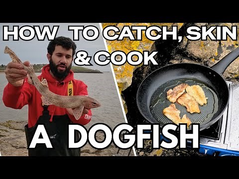 How to catch, skin and cook a dogfish