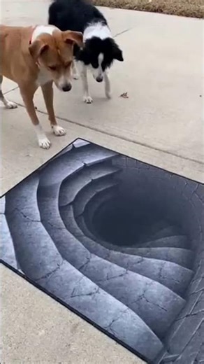 Instant Panic Mode Activated #wildaitales #petprank #funny #animals #pets