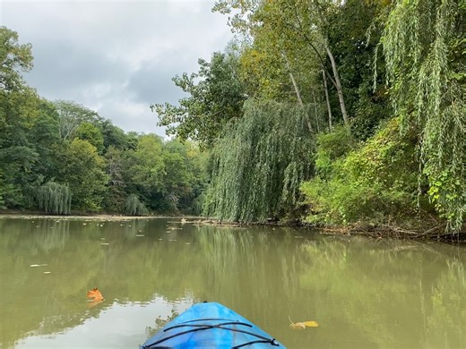 7K views · 166 reactions | Great paddling weather! There’s still a...