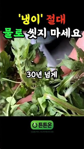 '냉이' 씻을 때 그냥 씻지 마세요! 30년 맛집 사장님 비법 #건강정보 #건강