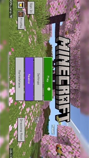 me first time installer Minecraft Play Store version or my first world created