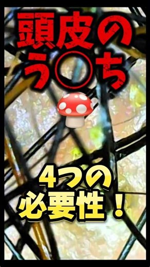 毛穴の詰まりをごっそり落とす！正しい頭皮の毛穴クレンジング法#shorts