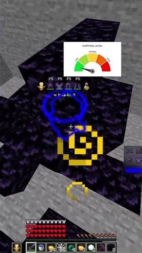 dc.gg/voidconfigs #shorts #anarchiagg #minecraft