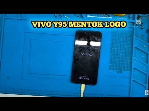 Vivo Y95 Won't Turn On, Only Logo Display
