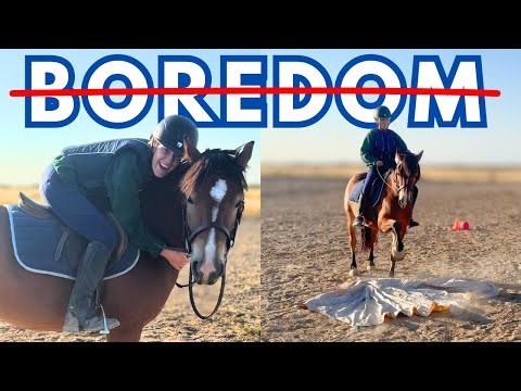 Bored Horse Hacks! (Easy Exercises)