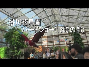 4K 掛川花鳥園 バードショー(13時の部)