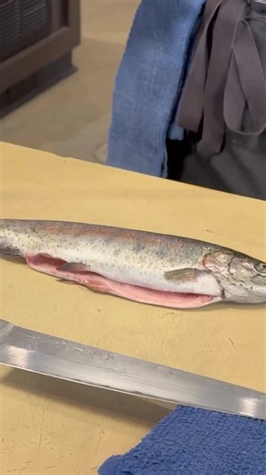 🌈🐟A characteristic feature of the rainbow trout is a wide pink or red stripe running along its sideline. Unlike brown trout, rainbow trout have only dark spots without a white border, which are smaller and more numerous than those of brown trout.It naturally occurs in North America and has been artificially spread to almost all countries worldwide.Due to their vibrant colors and strong fighting ability, rainbow trout are prized by anglers and have been introduced to water bodies around the glo