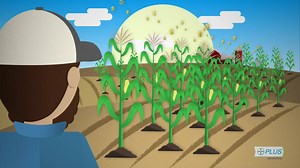 BayerPLUS is more than just a rewards program. Our broad portfolio of high-performance products is built to help you meet your toughest challenges with more choice, flexibility and simplicity than ever. Sign up today. | FieldView