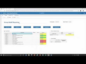 Managing Group and Management Reporting with Anaplan