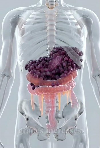 What happens to your body if you eat too many grapes?