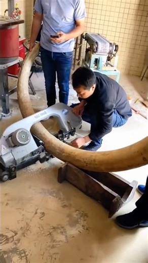 Kyon ban hai haathi ke daant se bani cheezein? 🐘 #shorts