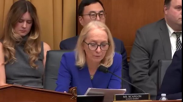 'The Muslim community is the boogeyman': Mary Gay Scanlon calls out Chip Roy spouting anti-Sharia sentiment to 'score political points'