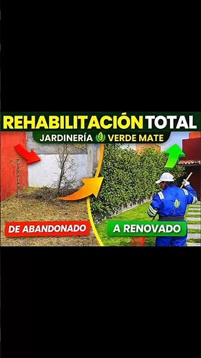 Rehabilitación total de área verde 🌿 #plantas #jardinería #jardin #landscape #jardinero #metepec