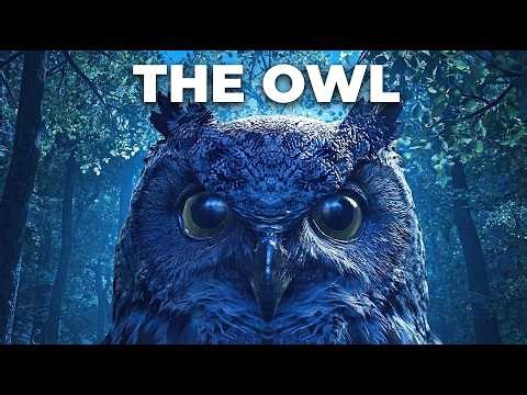 Owl Prowler: Snowy Owl Mobile Simulator - Silent Winter Hunts