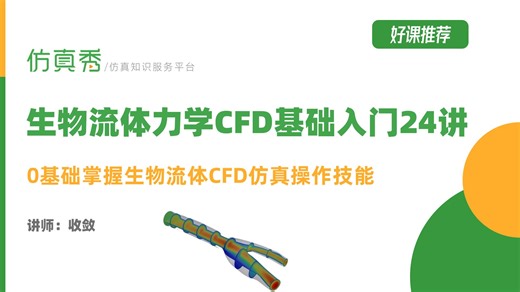 生物流体力学CFD基础入门24讲：打通血管UDF代码/Fluent血液和流固耦合计算全流程