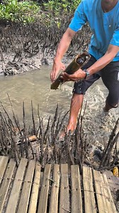 🎍trap 🦀😱 | Rosalie C. Arellano