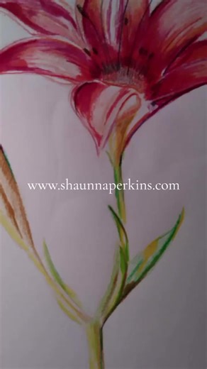 quick portfolio of all the beautiful things I have made. Be sure to check the shop link and visit POD links under affiliates. #openforcommission #poshmarkseller #etsyshop #redbubbleartist