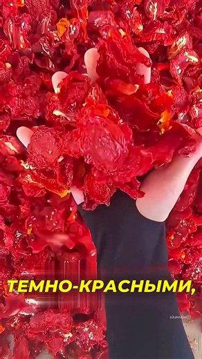 How to turn cheap tomatoes into a delicacy 😯