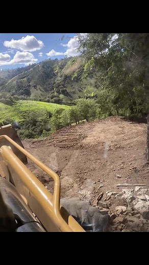 Bulldozer in Action: Land Clearing in Forested Terrain